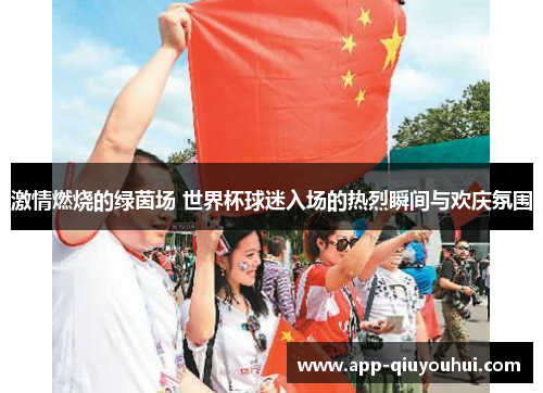 激情燃烧的绿茵场 世界杯球迷入场的热烈瞬间与欢庆氛围